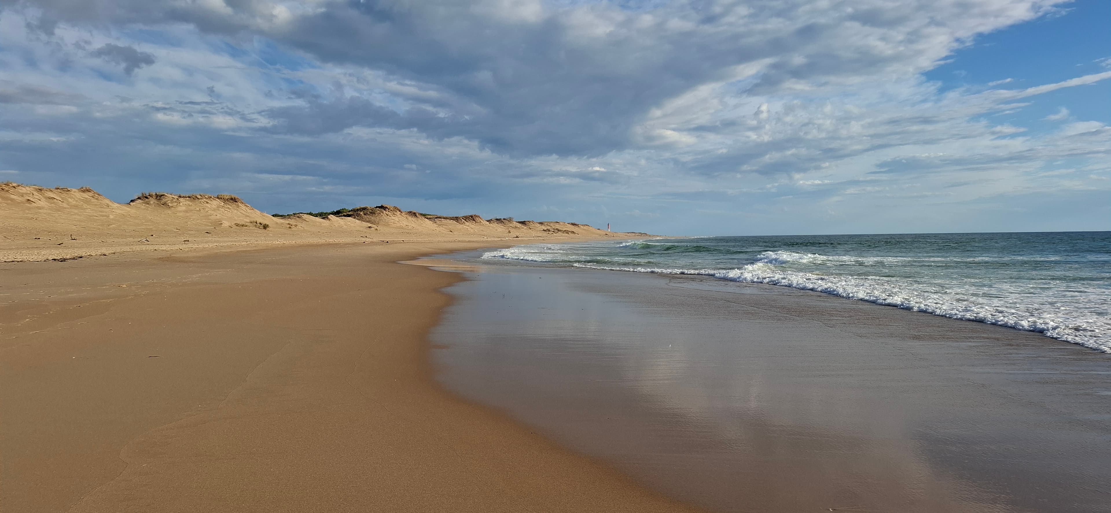 La Côte Sauvage et ses vagues, à quelques minutes d'Arvert