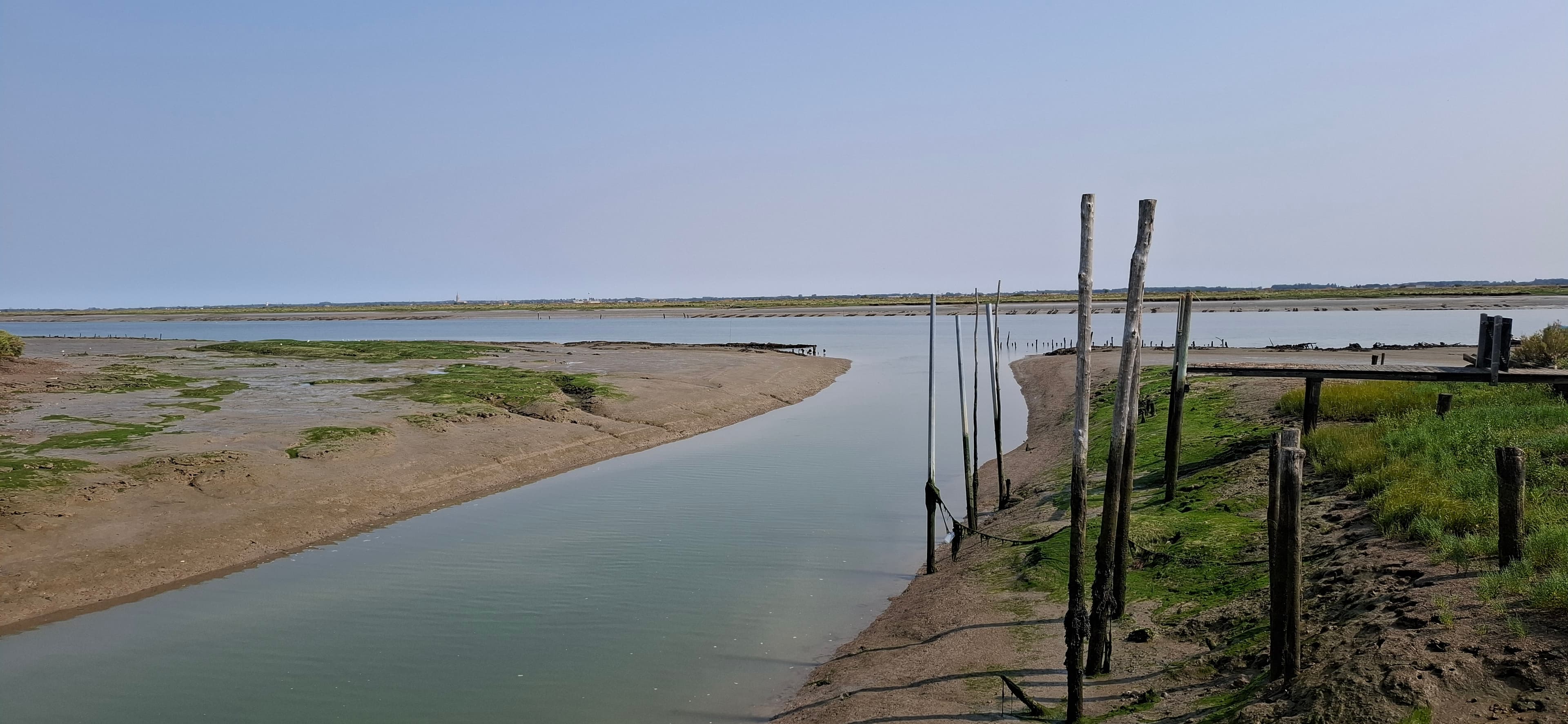 Un chenal des marais de la Seudre, bordé de piquets ostréicoles